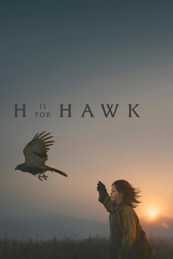 H is for Hawk poster